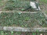 image of grave number 635530